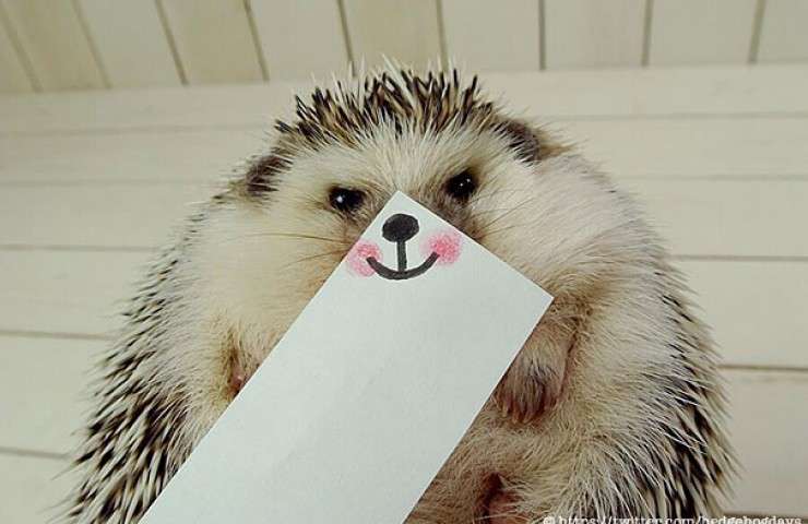 d9e6bc8e96ee674c73e21ce04e83b846.jpg